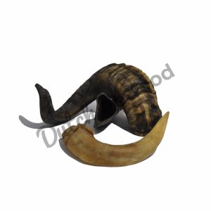 Ramshoorns