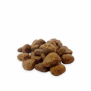 Aardappel Paard