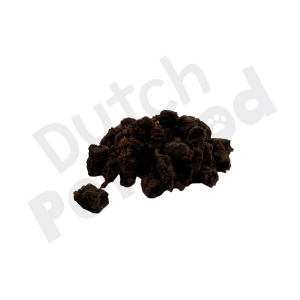 Softies Paard