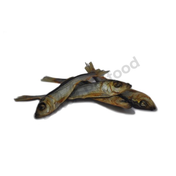 Sprot